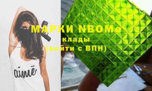 шишки Осташков