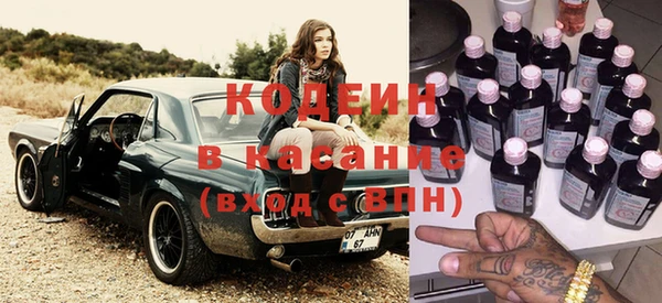 шишки Осташков