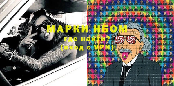 шишки Осташков