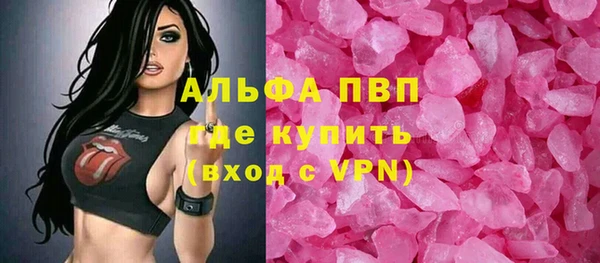 шишки Осташков