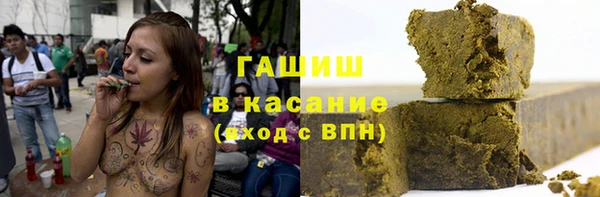 шишки Осташков
