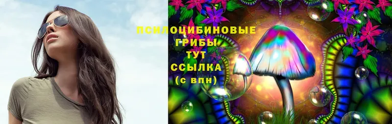 Псилоцибиновые грибы Magic Shrooms  Мураши 